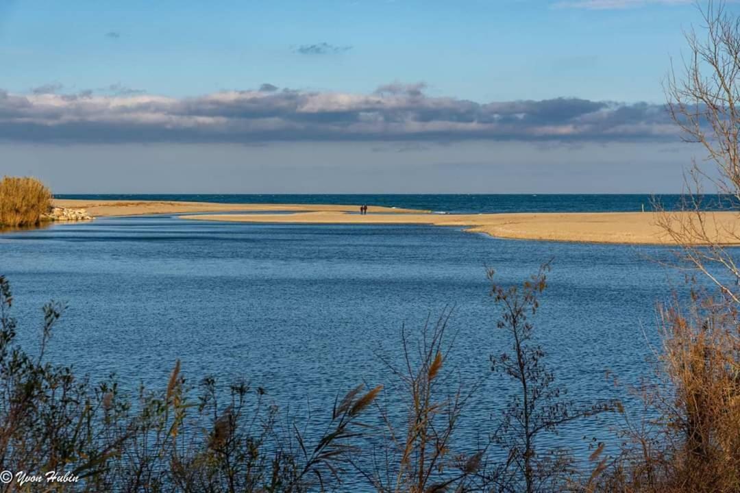 Studio Calme Au Coeur De Canet - 21 - ภายนอก รูปภาพ